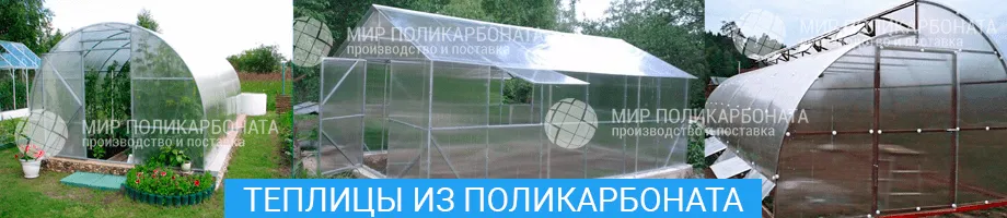 примеры теплиц из поликарбоната 2024