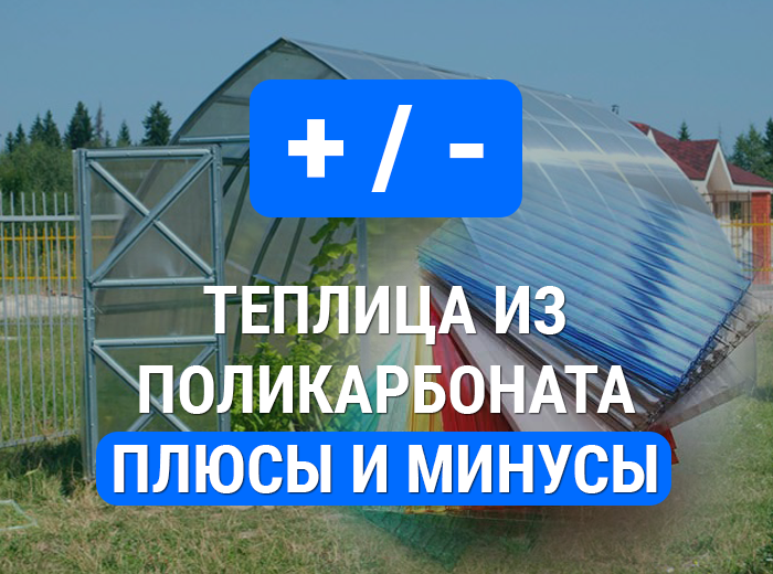 Поликарбонат для теплиц. Плюсы и минусы.